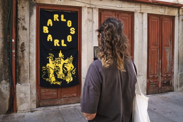 barlos24-anadinis-87